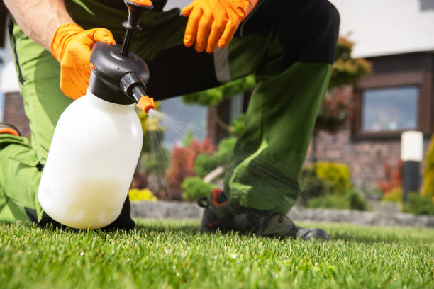 Best Wildlife Control Services  in Raven, VA