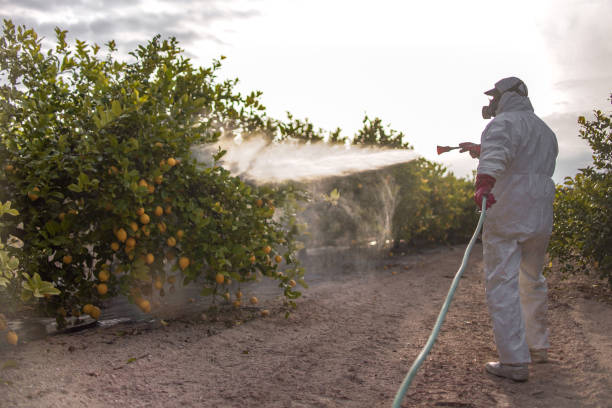Best Commercial Pest Control Services  in Raven, VA