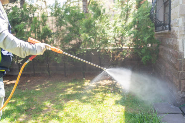 Bird Control in Raven, VA