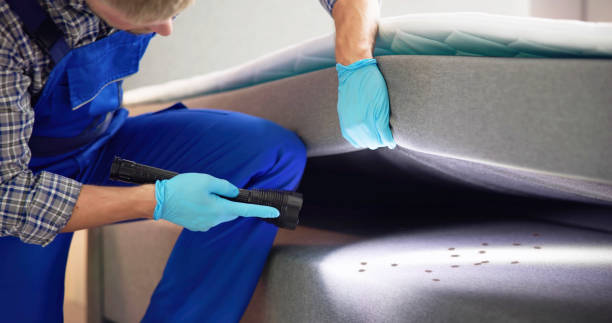 Pest Control for Restaurants in Raven, VA