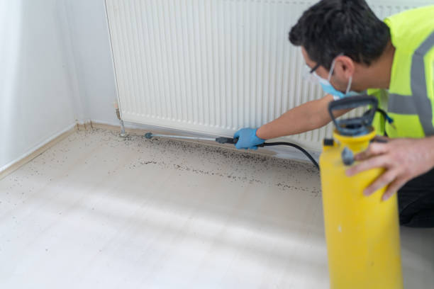 Best Pest Control for Restaurants  in Raven, VA